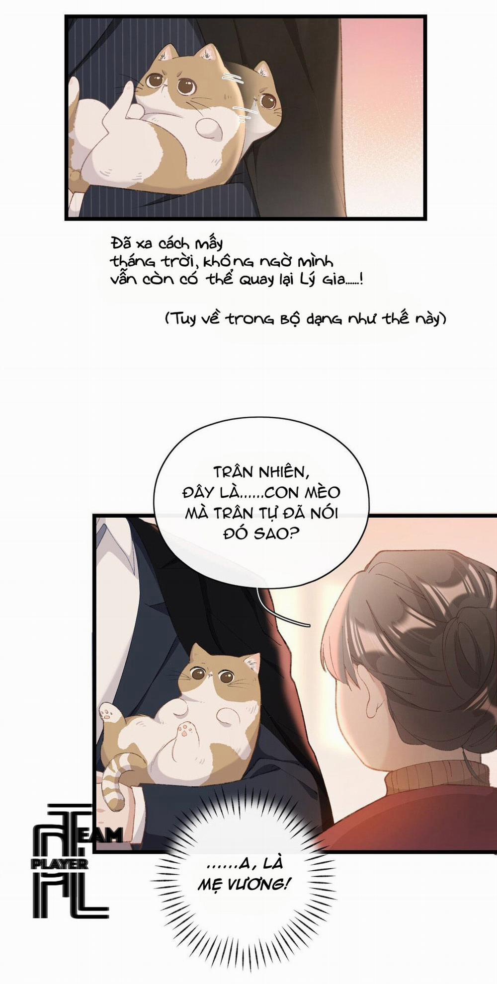 Nhật Ký Phục Thù Của Mèo Garfield 4 trang 4