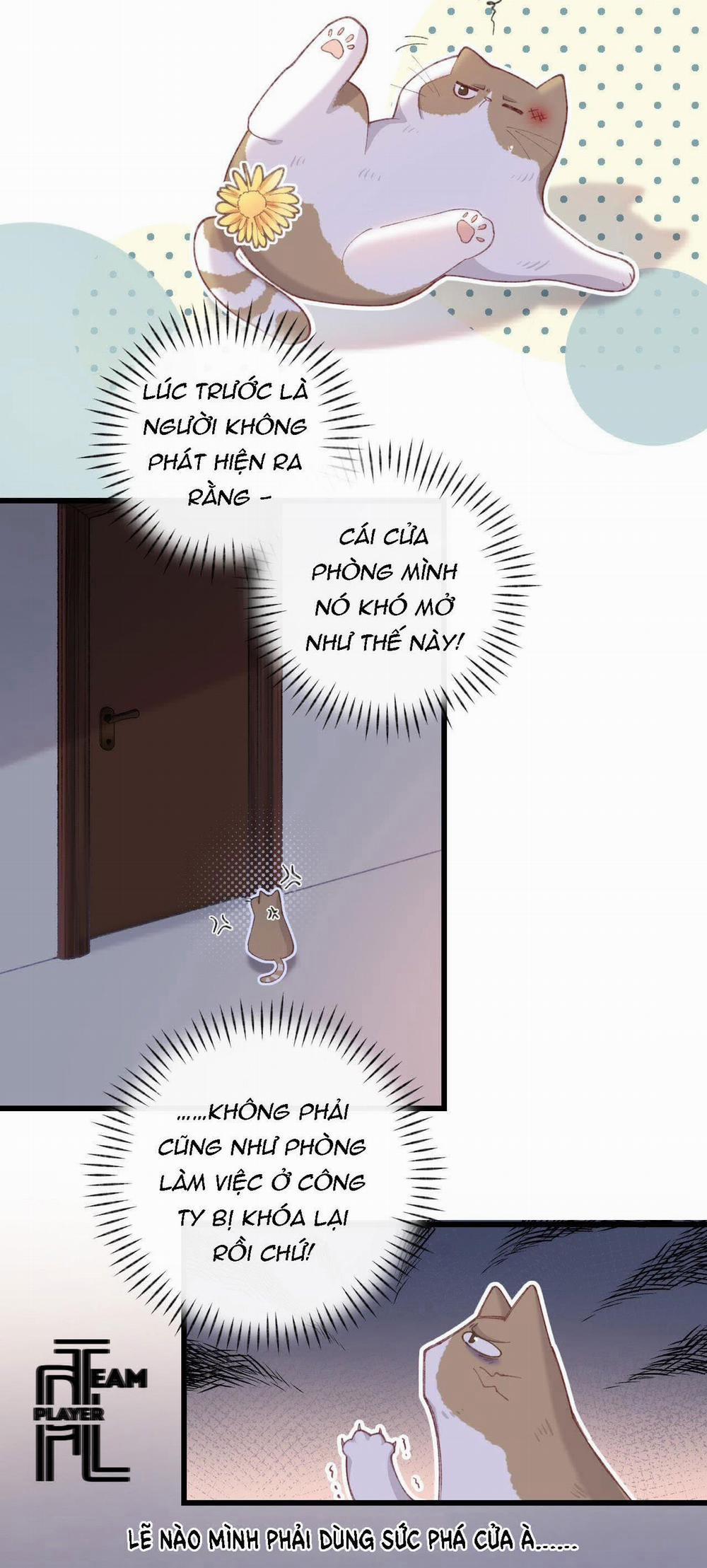 Nhật Ký Phục Thù Của Mèo Garfield 5 trang 20