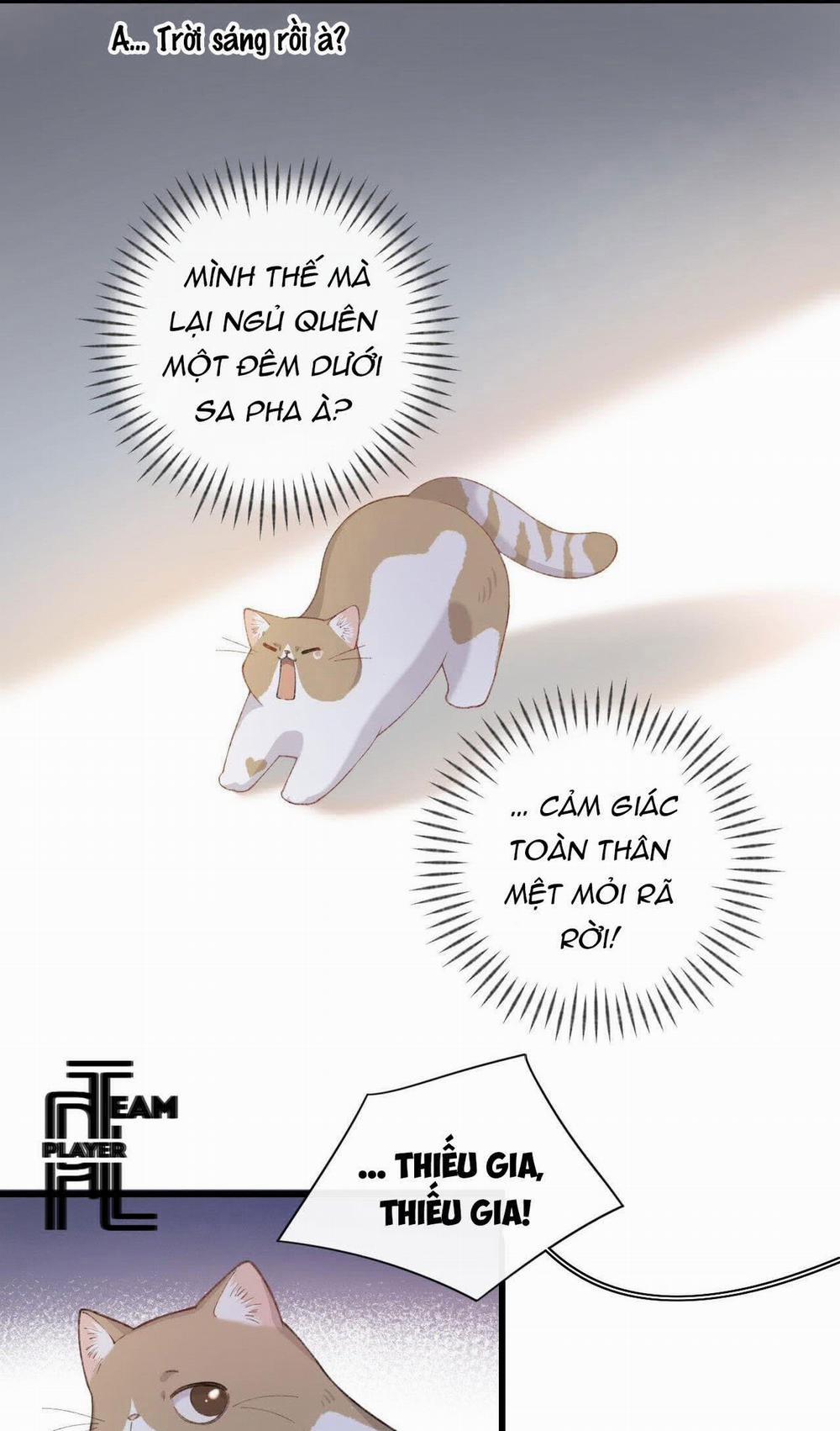 Nhật Ký Phục Thù Của Mèo Garfield 6 trang 30