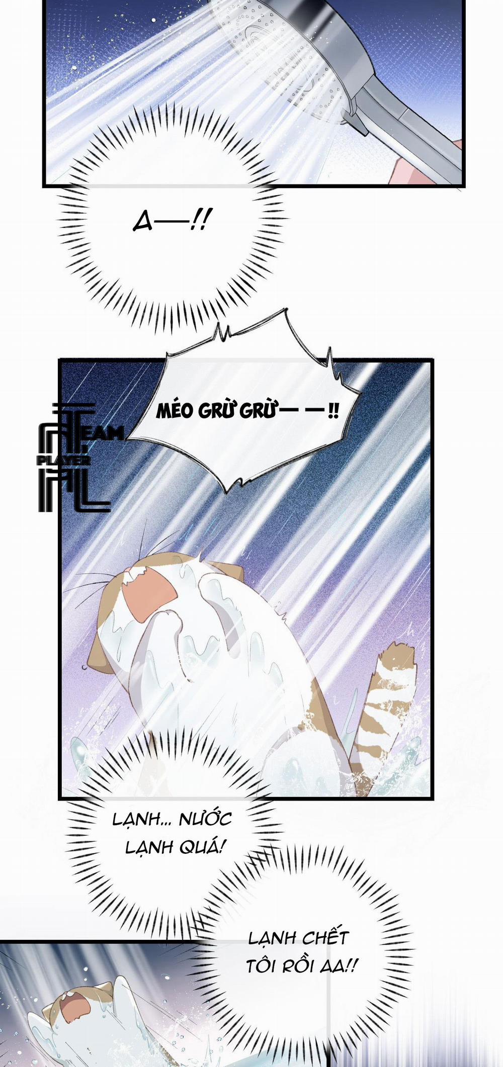 Nhật Ký Phục Thù Của Mèo Garfield 6 trang 5