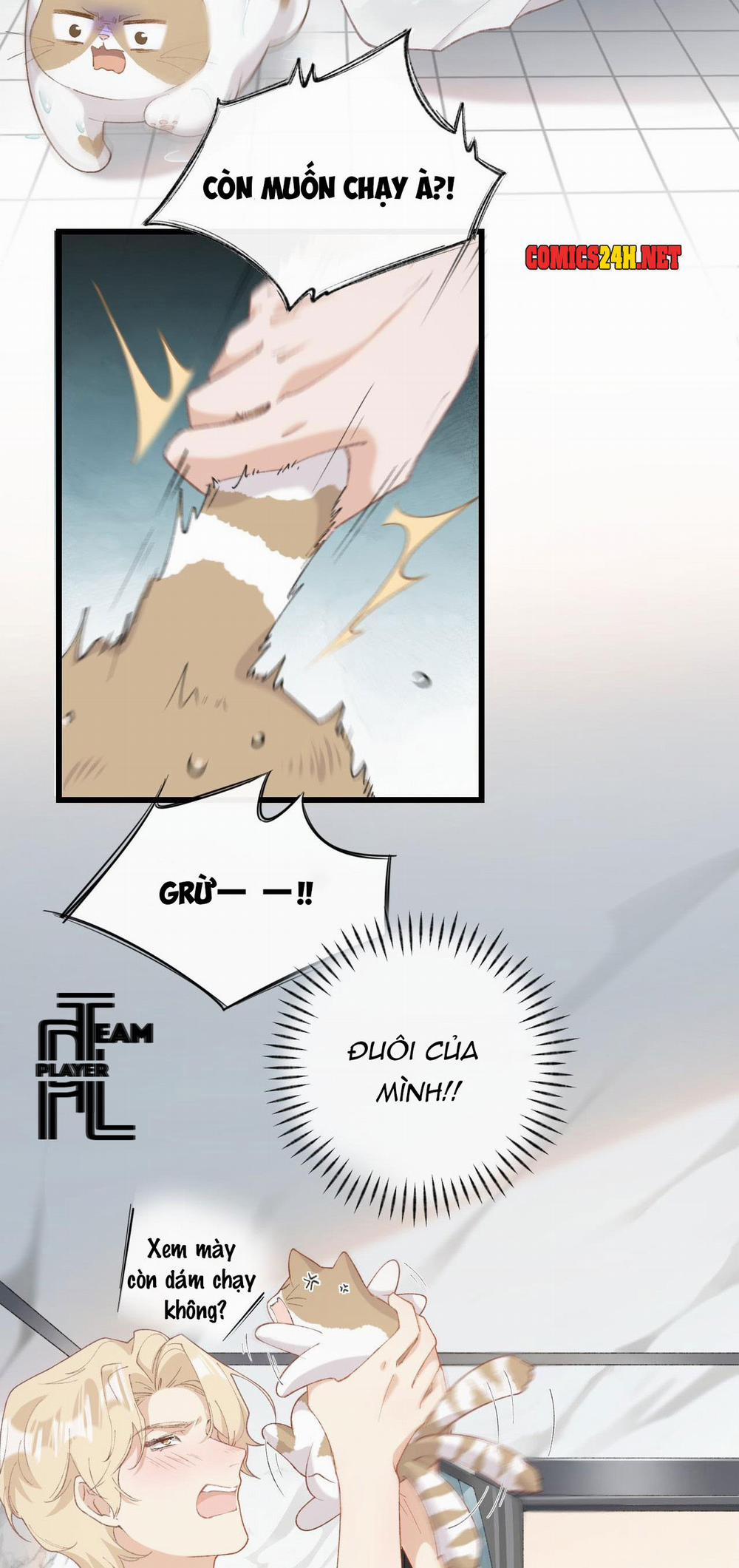 Nhật Ký Phục Thù Của Mèo Garfield 6 trang 7