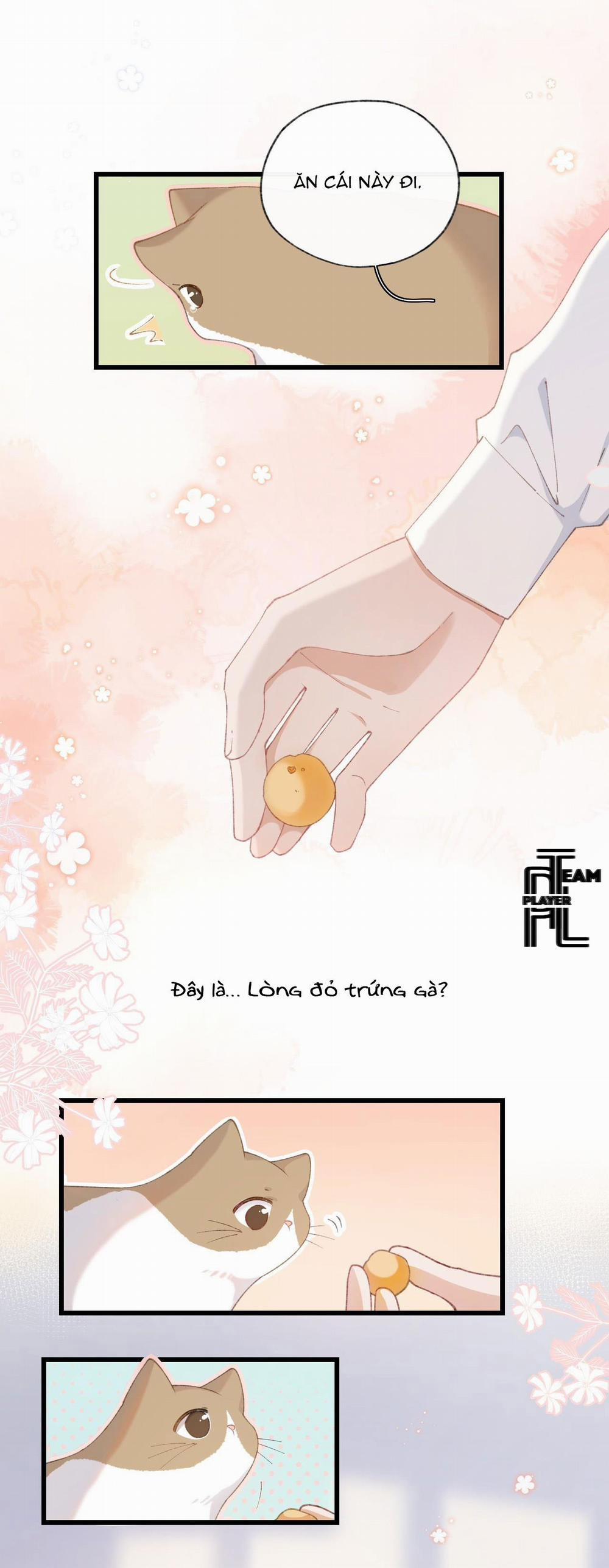 Nhật Ký Phục Thù Của Mèo Garfield 7 trang 9