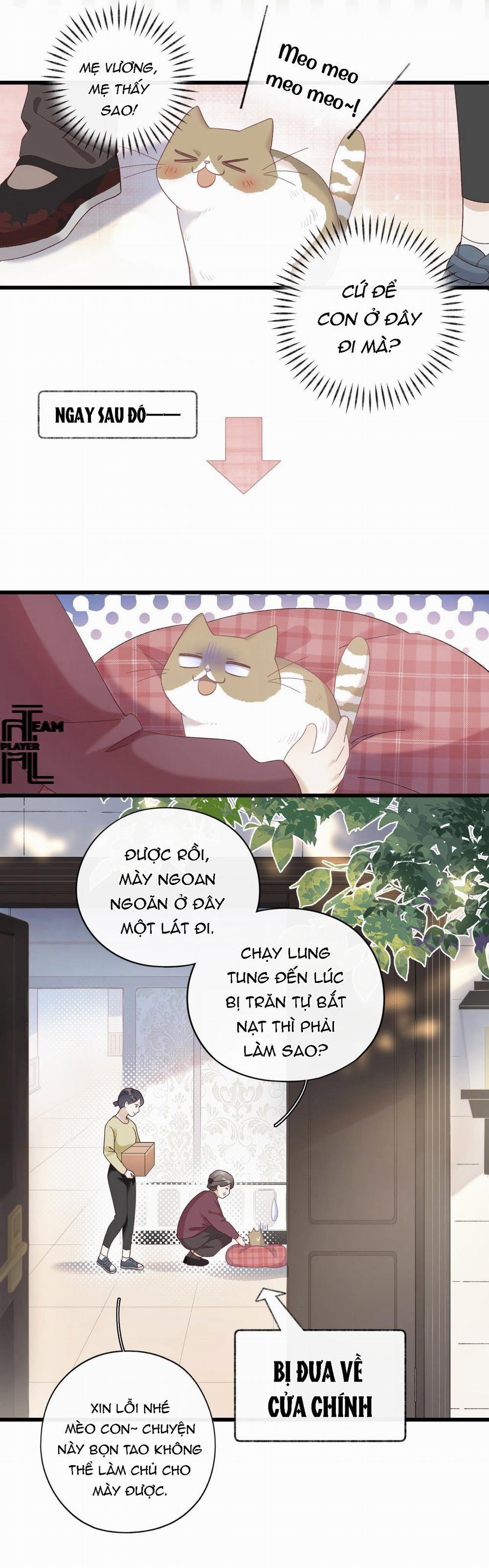 Nhật Ký Phục Thù Của Mèo Garfield 8 trang 9