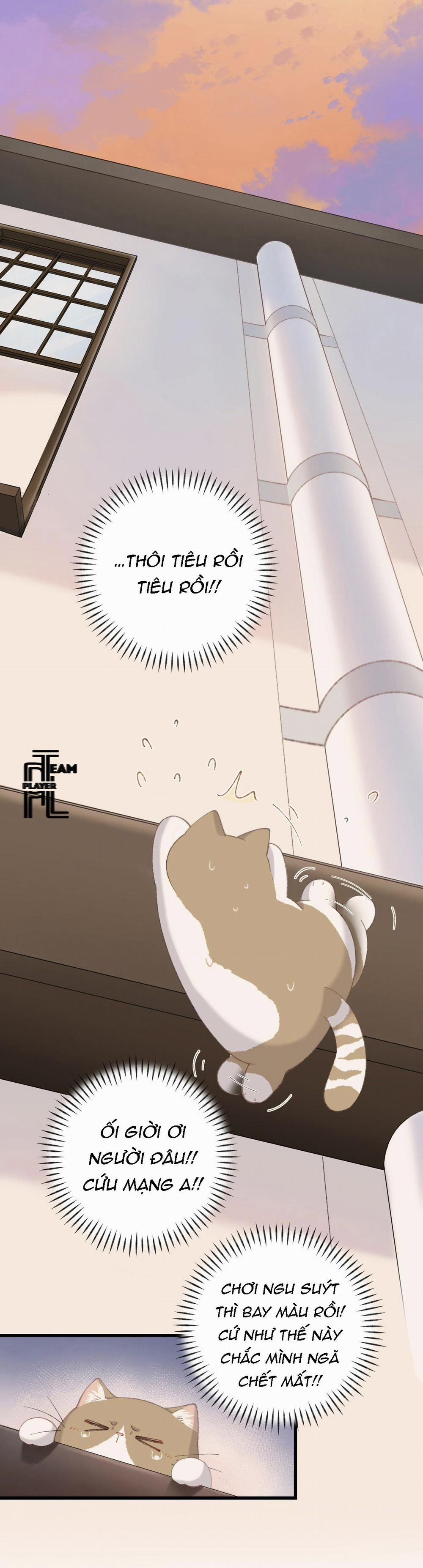 Nhật Ký Phục Thù Của Mèo Garfield 9 trang 16