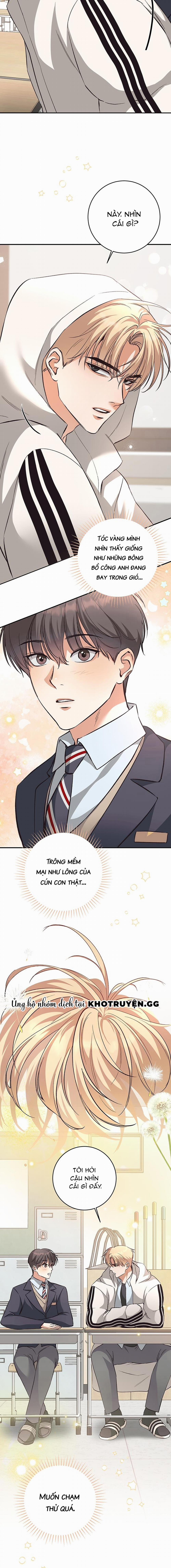 Nhật Ký Quan Sát Hoa Bồ Công Anh 1 trang 15