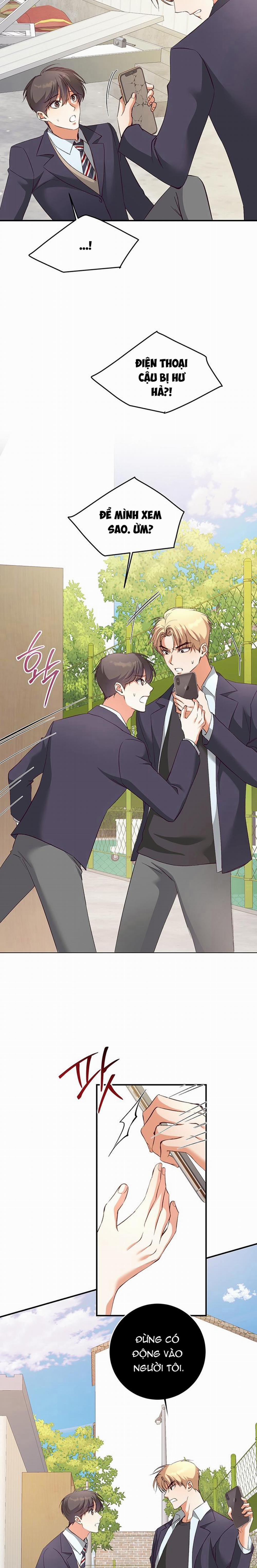 Nhật Ký Quan Sát Hoa Bồ Công Anh 3 trang 16