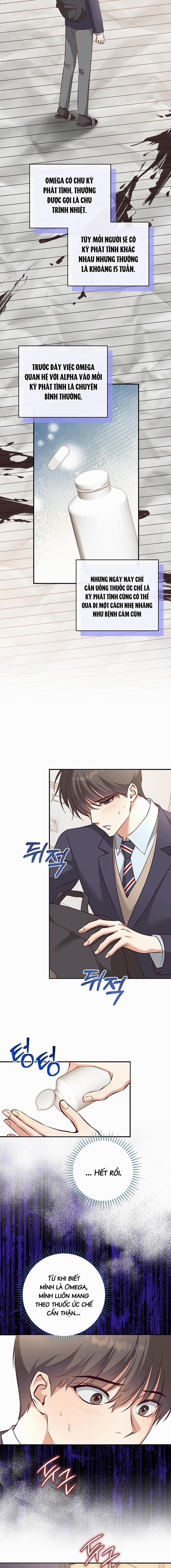 Nhật Ký Quan Sát Hoa Bồ Công Anh 4 trang 12