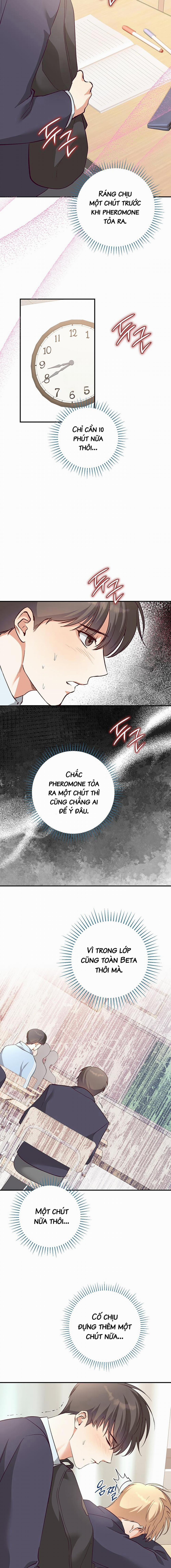 Nhật Ký Quan Sát Hoa Bồ Công Anh 4 trang 13