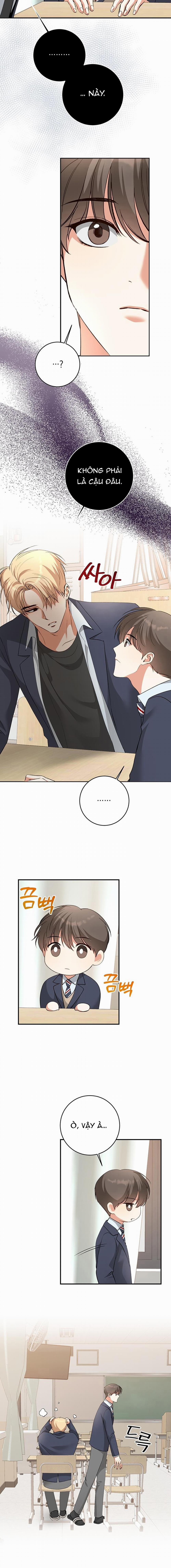 Nhật Ký Quan Sát Hoa Bồ Công Anh 4 trang 9