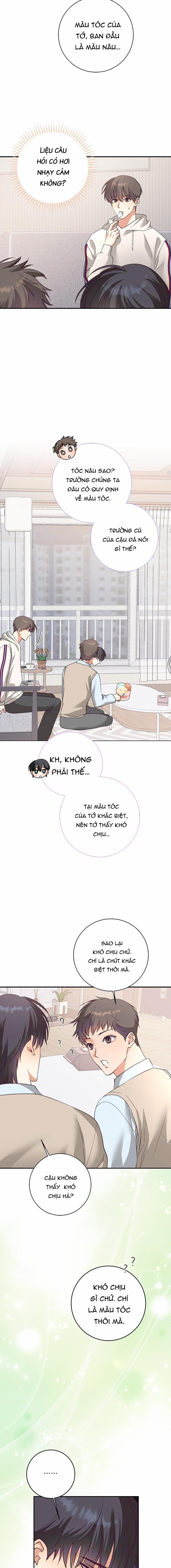 Nhật Ký Quan Sát Hoa Bồ Công Anh 7 trang 11