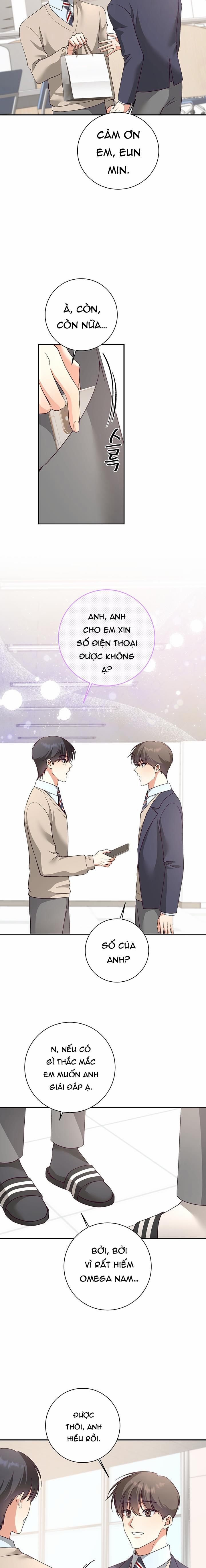 Nhật Ký Quan Sát Hoa Bồ Công Anh 7 trang 4