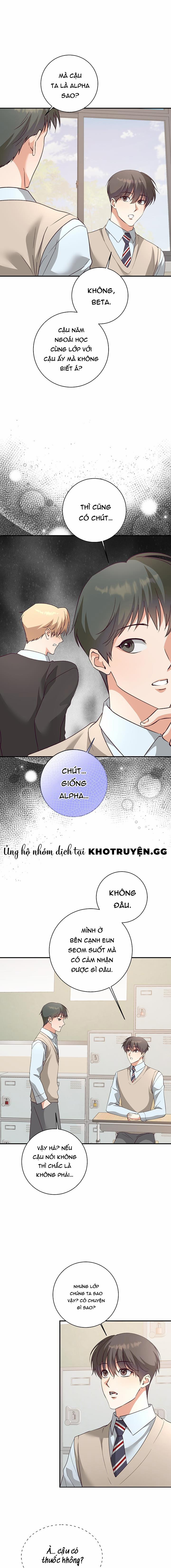 Nhật Ký Quan Sát Hoa Bồ Công Anh 8 trang 5