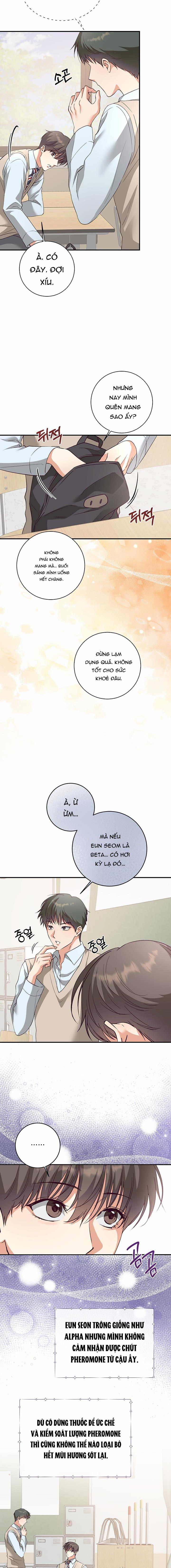 Nhật Ký Quan Sát Hoa Bồ Công Anh 8 trang 6