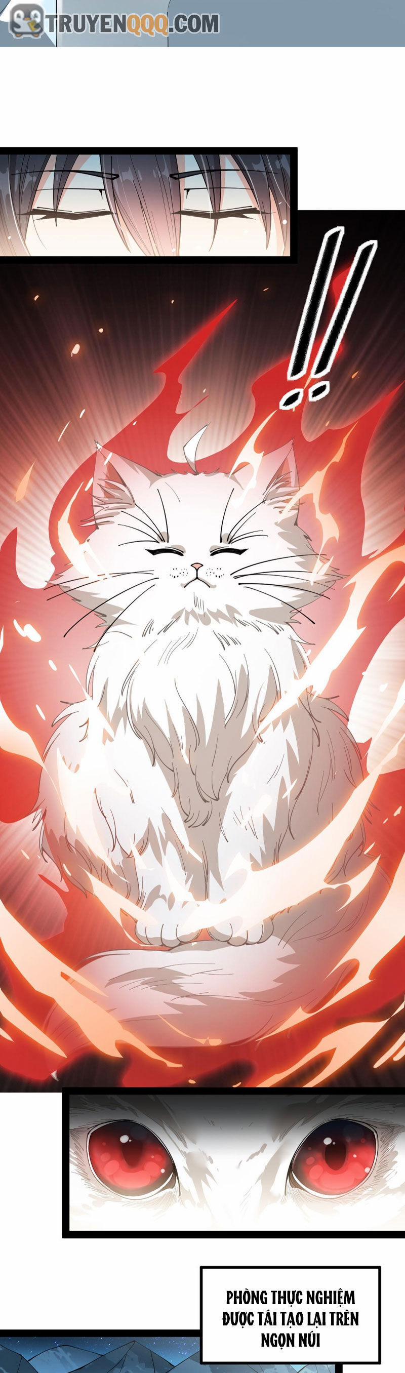 Nhật Ký Thường Ngày Của Tiên Vương 72 trang 17