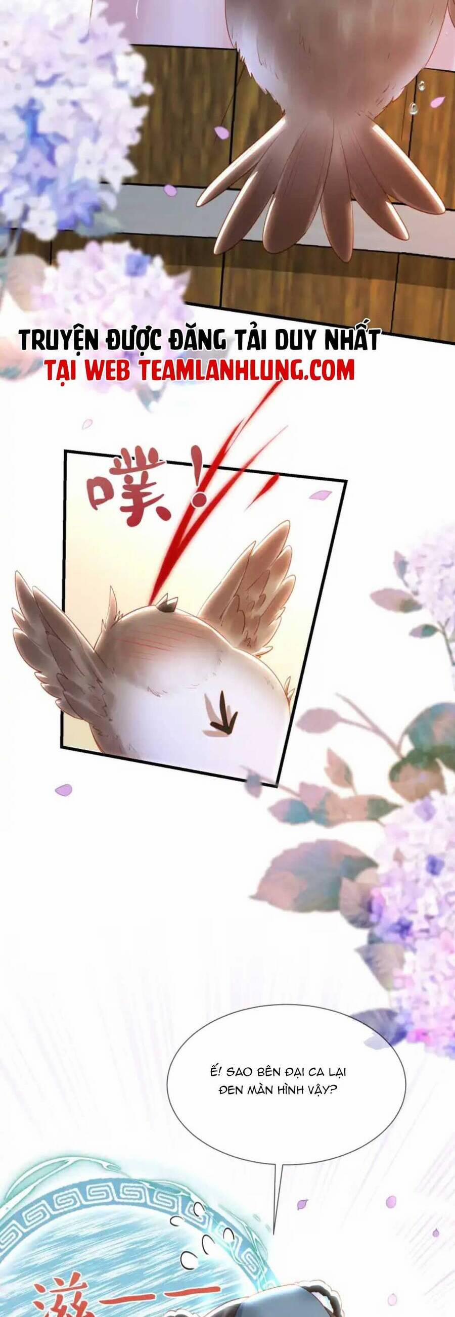 Nhặt Nuôi Phu Quân 13 trang 12