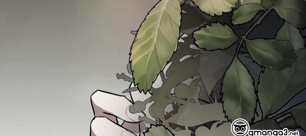 Nhật Thực 79 trang 187