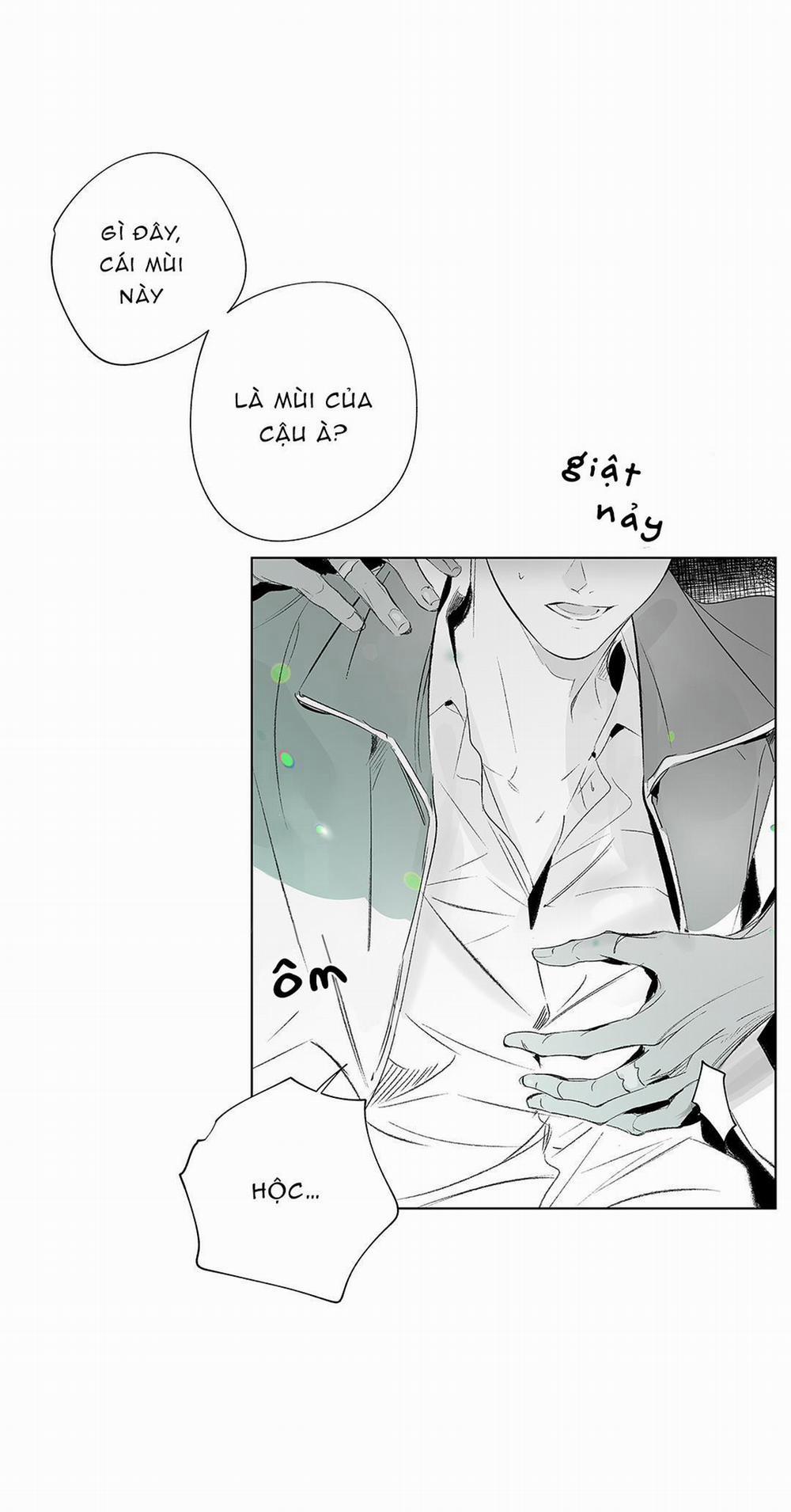 Nhiễu Sóng 11 trang 13