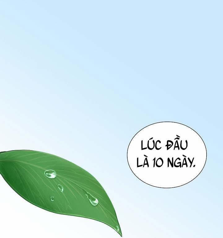 Nhìn Lại Ngọn Lửa Đã Tắt 1 trang 0