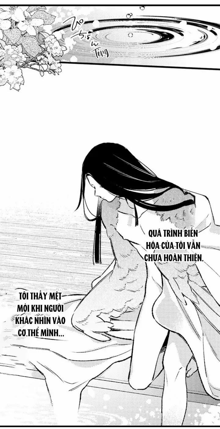 Nhìn vào đóa hoa của bình minh 2 trang 21