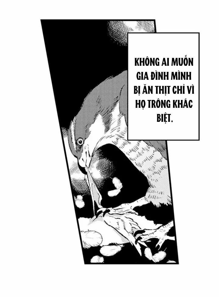 Nhìn vào đóa hoa của bình minh 2 trang 27