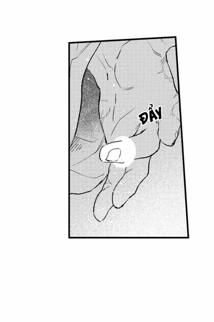 Nhìn vào đóa hoa của bình minh 3 trang 14