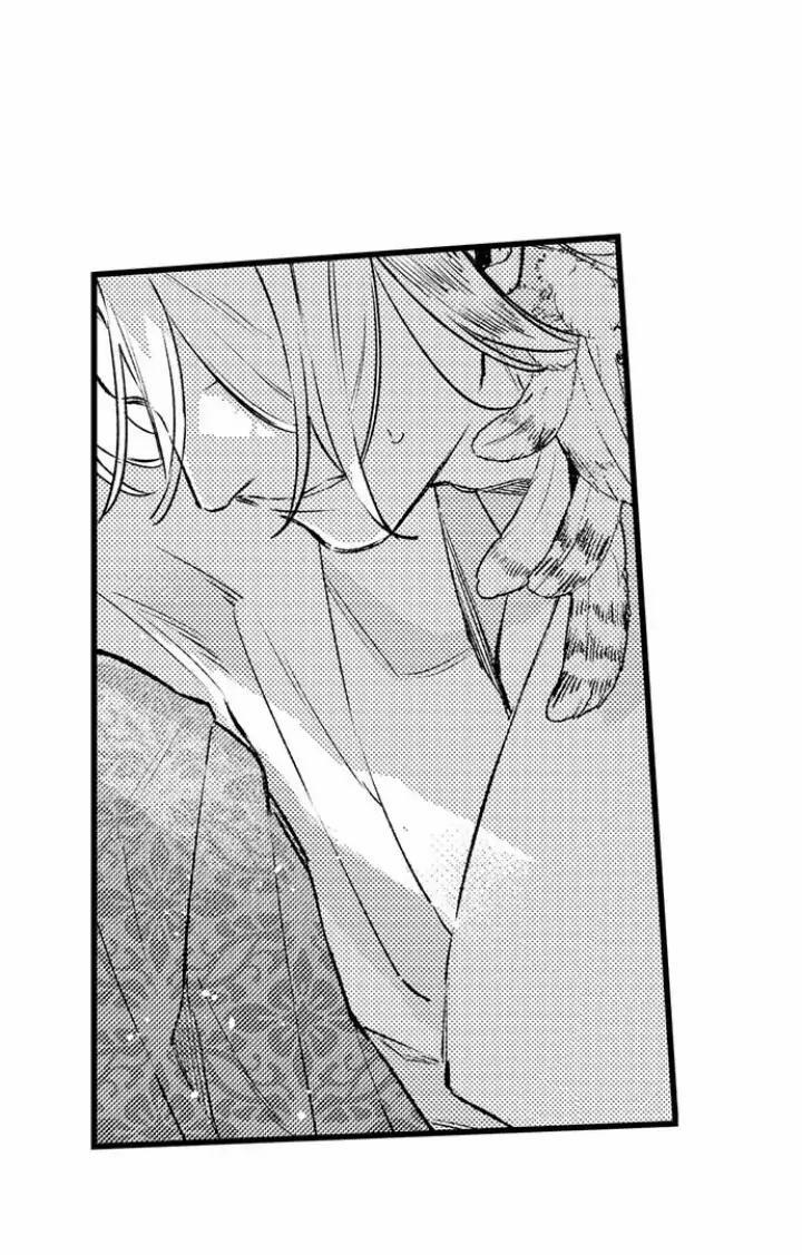 Nhìn vào đóa hoa của bình minh 3 trang 17