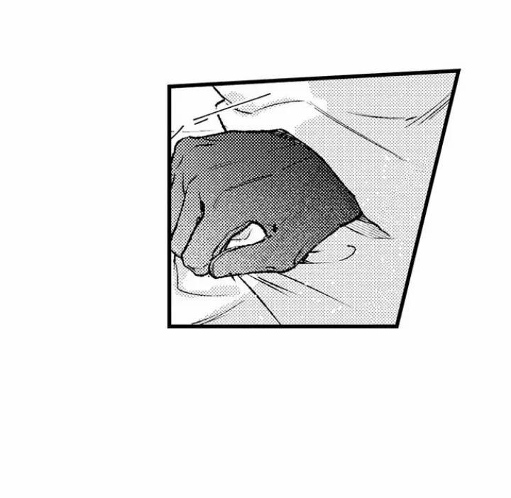 Nhìn vào đóa hoa của bình minh 3 trang 18