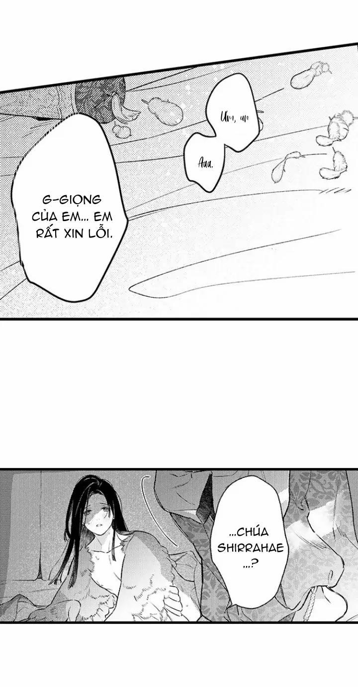 Nhìn vào đóa hoa của bình minh 3 trang 22