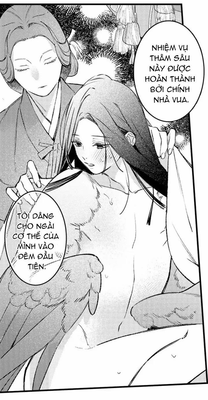 Nhìn vào đóa hoa của bình minh 3 trang 3