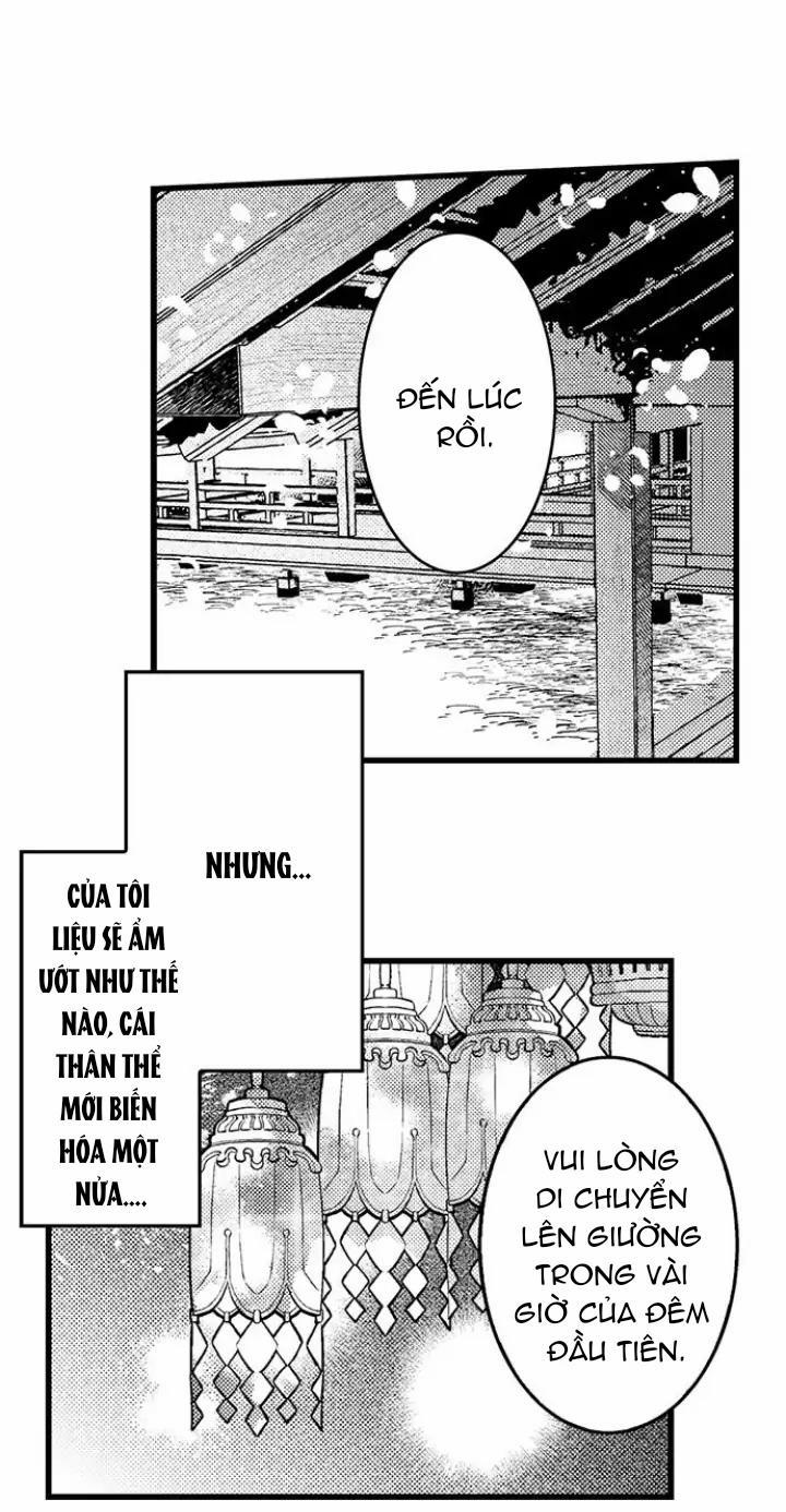 Nhìn vào đóa hoa của bình minh 3 trang 4