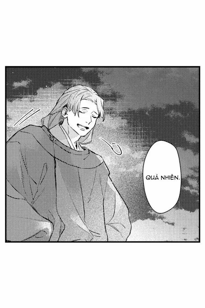 Nhìn vào đóa hoa của bình minh 4 trang 19