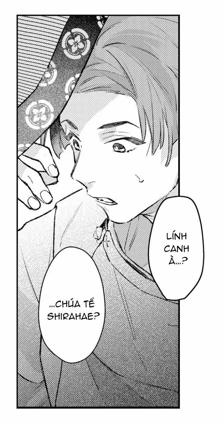 Nhìn vào đóa hoa của bình minh 4 trang 8