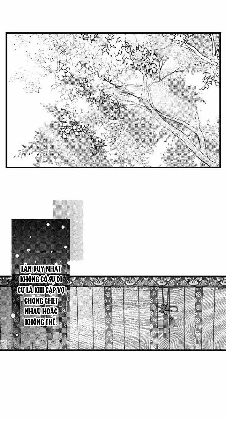 Nhìn vào đóa hoa của bình minh 5 trang 2