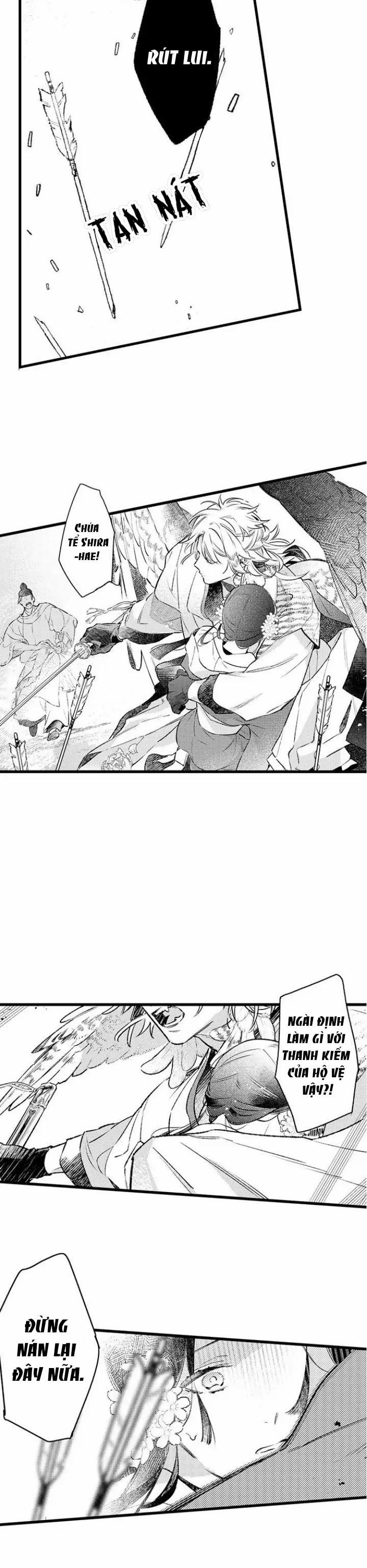 Nhìn vào đóa hoa của bình minh 6 trang 9