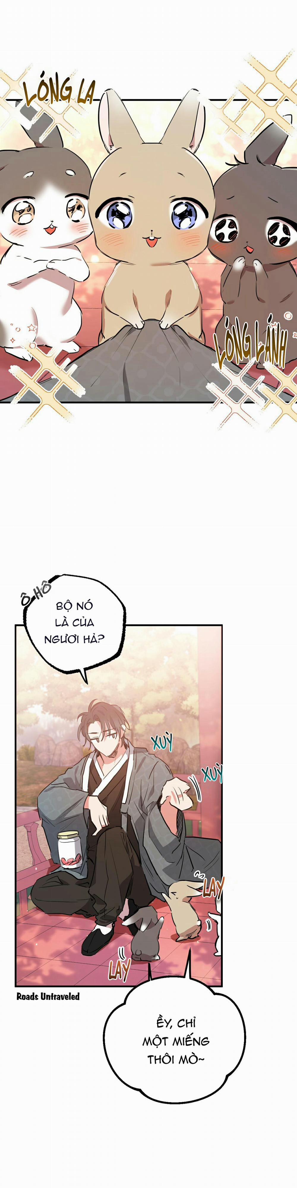 Những Chú Thỏ Của Habibi 21 trang 0