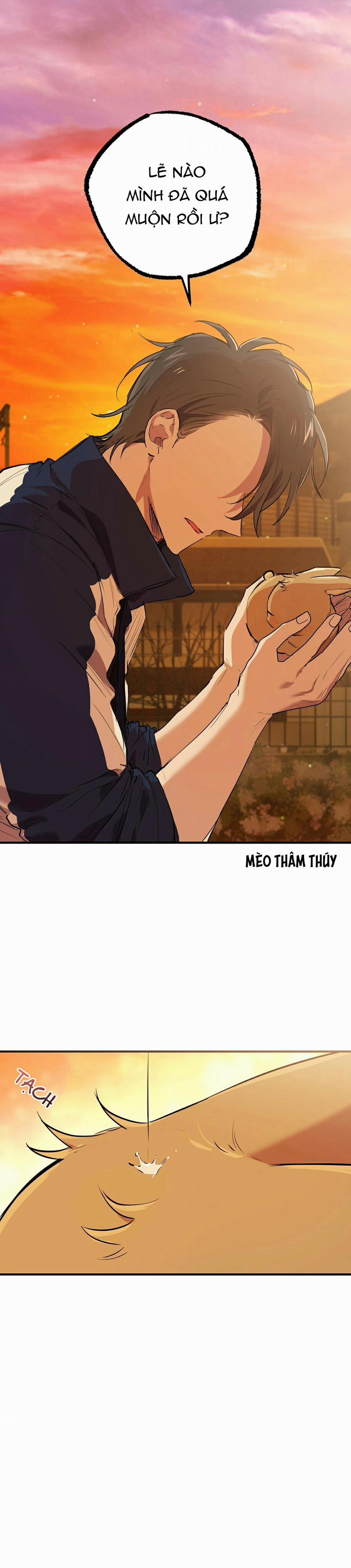Những Chú Thỏ Của Habibi 24 trang 0