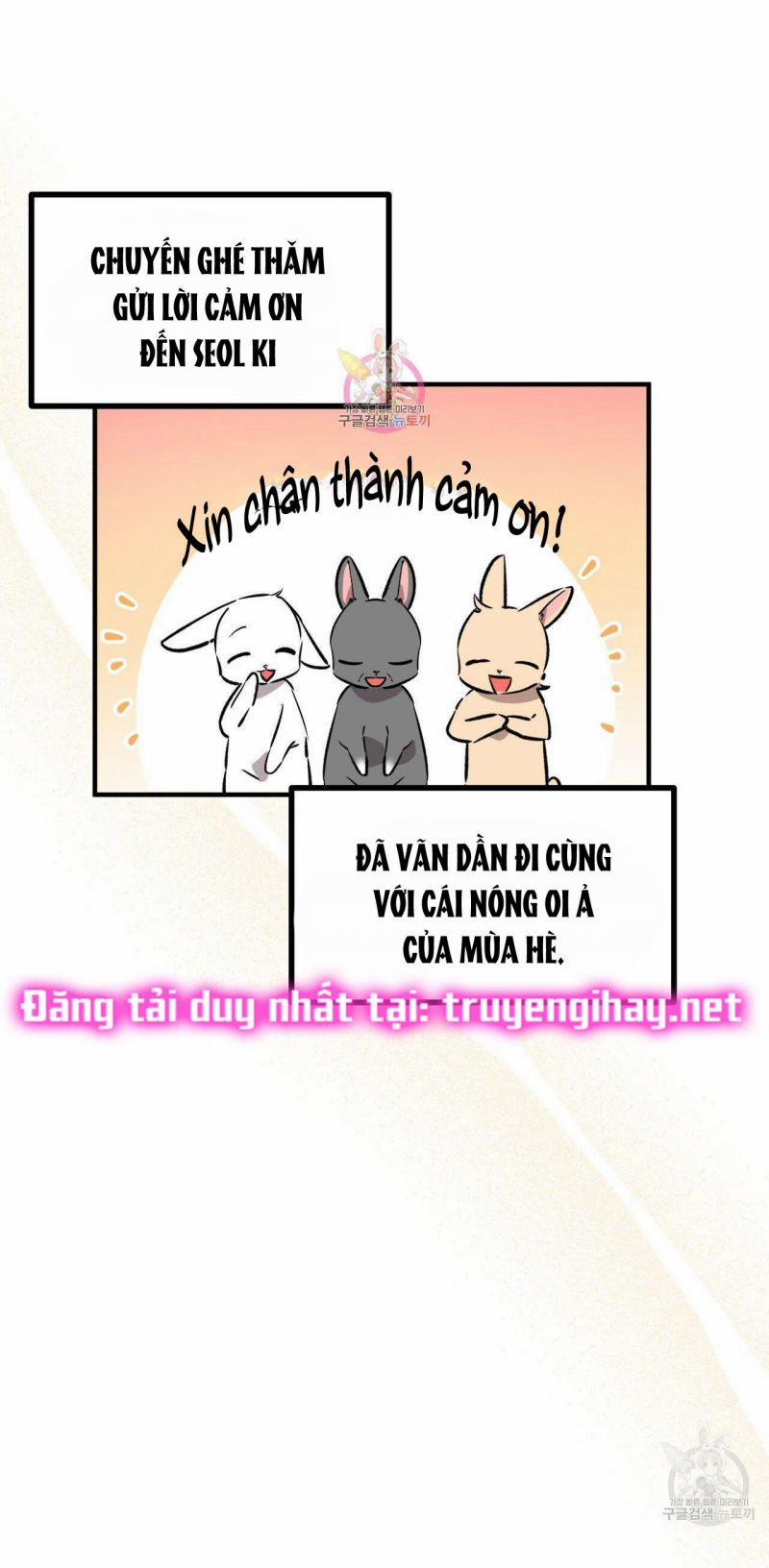 Những Chú Thỏ Của Hapypy 55.1 trang 0