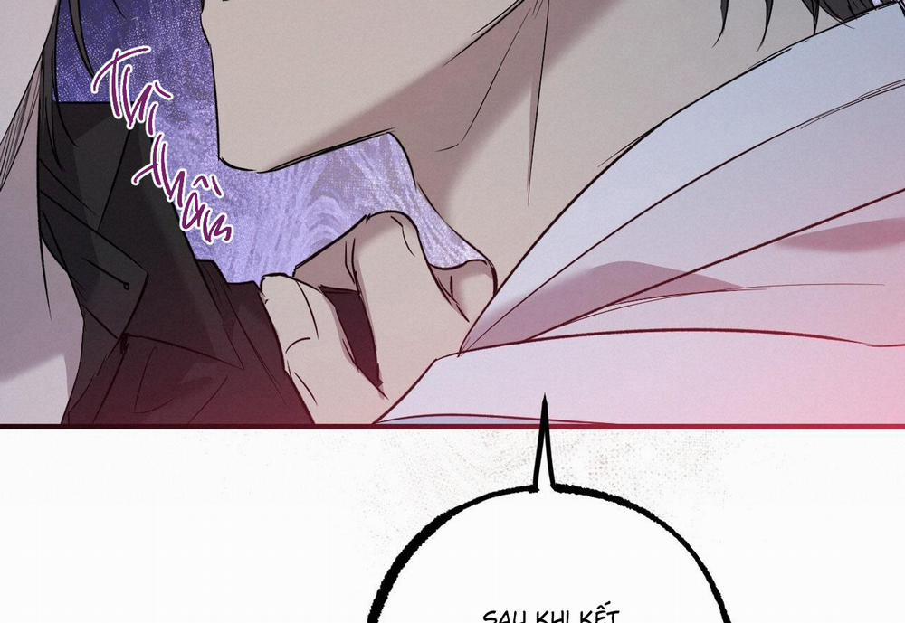 Những Chú Thỏ Của Hapypy 59 trang 260