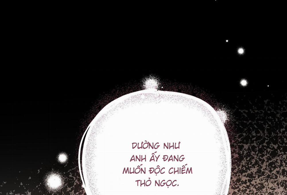 Những Chú Thỏ Của Hapypy 61 trang 210