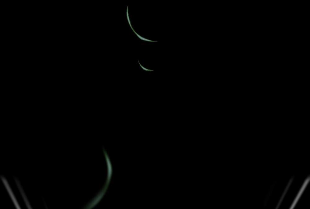 Những Chú Thỏ Của Hapypy 61 trang 242