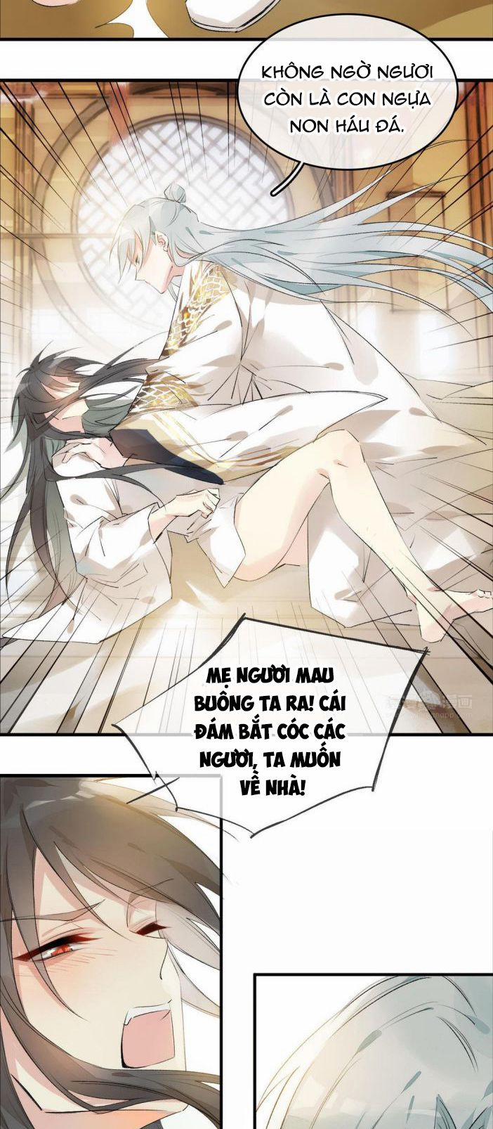 Những Người Đàn Ông Ở Rể 6 trang 14