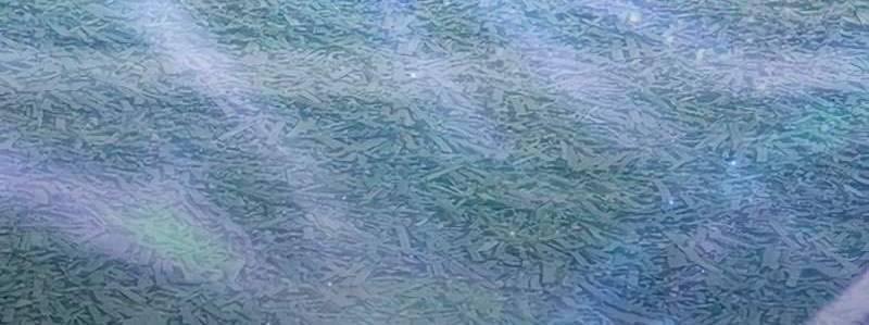 Những Ranker Cấp S Mà Tôi Nuôi Dưỡng 146 trang 39