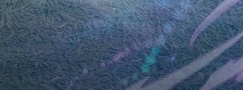 Những Ranker Cấp S Mà Tôi Nuôi Dưỡng 146 trang 40