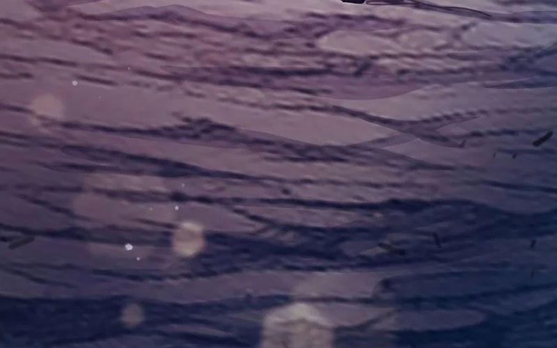 Những Ranker Cấp S Mà Tôi Nuôi Dưỡng 151 trang 177