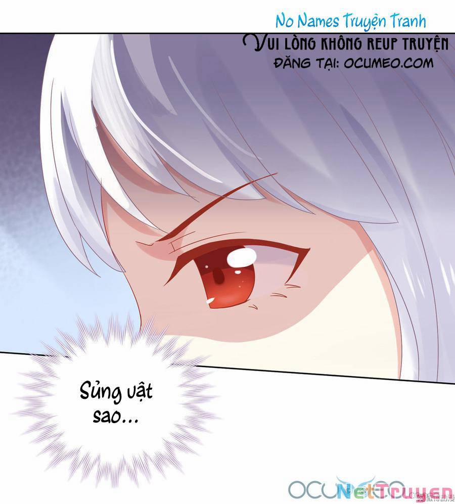 Những Tháng Ngày Bị Thiên Địch Nuôi Dưỡng 11 trang 13