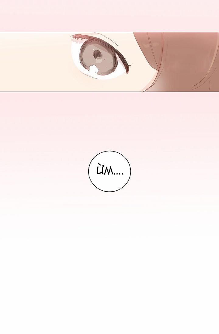 Những Vị Hôn Phu Thầy Kiếm Về Cho Tôi 28.5 trang 14