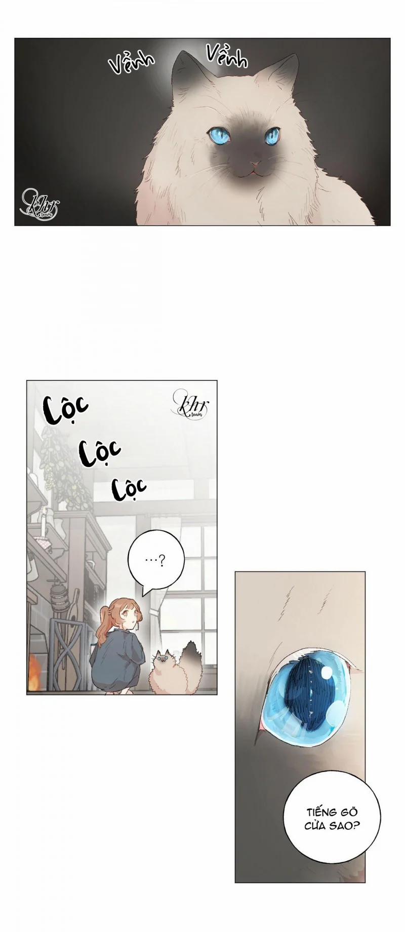 Những Vị Hôn Phu Thầy Kiếm Về Cho Tôi 29 trang 2