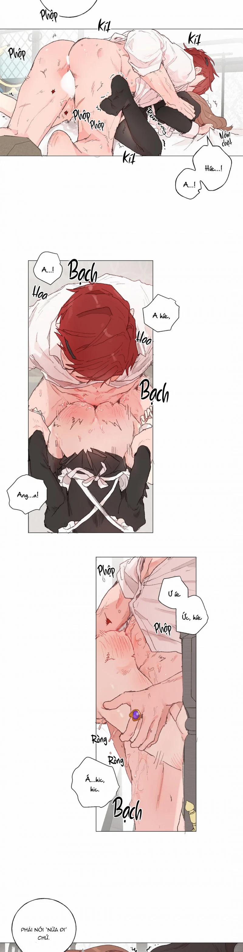 Những Vị Hôn Phu Thầy Kiếm Về Cho Tôi 32 trang 5