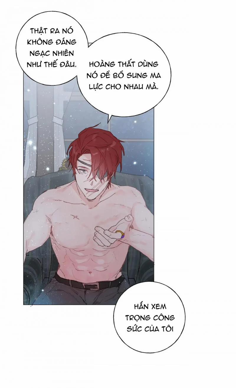 Những Vị Hôn Phu Thầy Kiếm Về Cho Tôi 33.5 trang 14