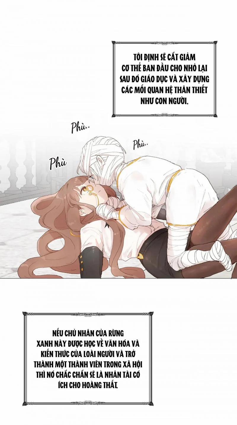 Những Vị Hôn Phu Thầy Kiếm Về Cho Tôi 34 trang 17